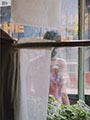 Saul Leiter Color Photograph, Woman Through Window, 2004