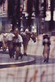 Saul Leiter Color Photograph, Horse & Cart