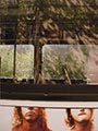 Saul Leiter Color Photograph, Bus 2004